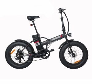 F1 Electric Fat Tire Bike with 250w 36v