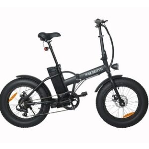 F1 Electric Fat Tire Bike with 250w 36v