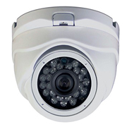 UV-IPDX417 IP Vandal Proof Dome Camera